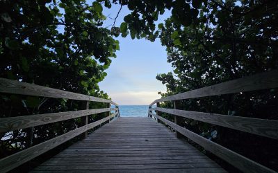 What It’s Really Like Living In Florida: Good and Bad