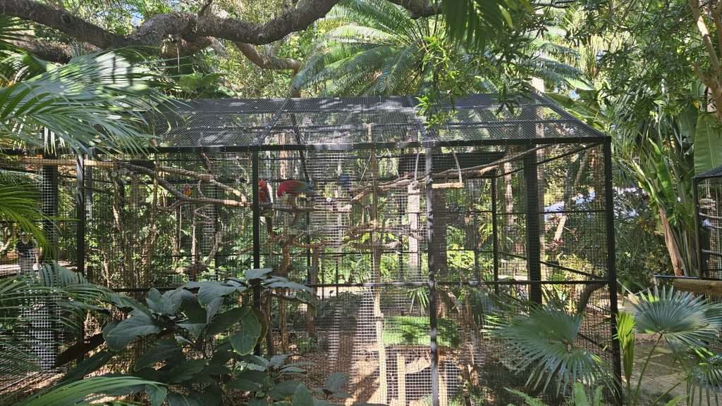 parrot exhibit sunken gardens st pete