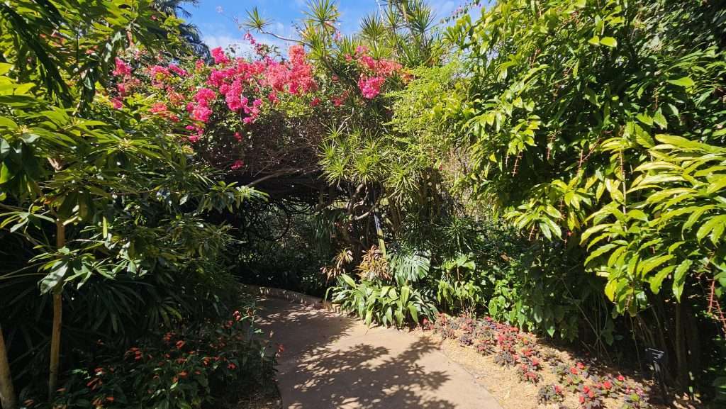 flower archway sunken gardens st pete