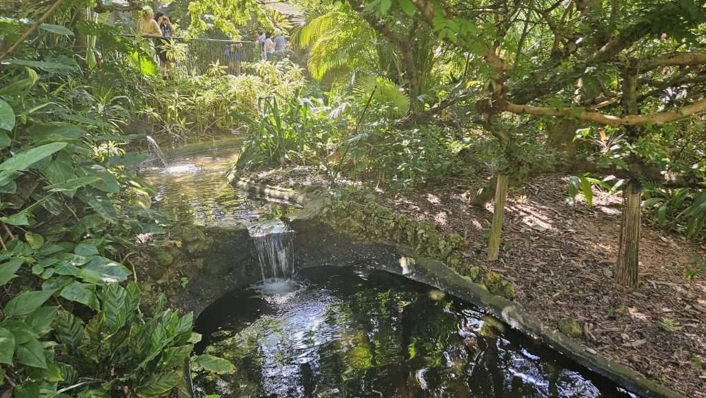 stream of water in sunken gardens st pete