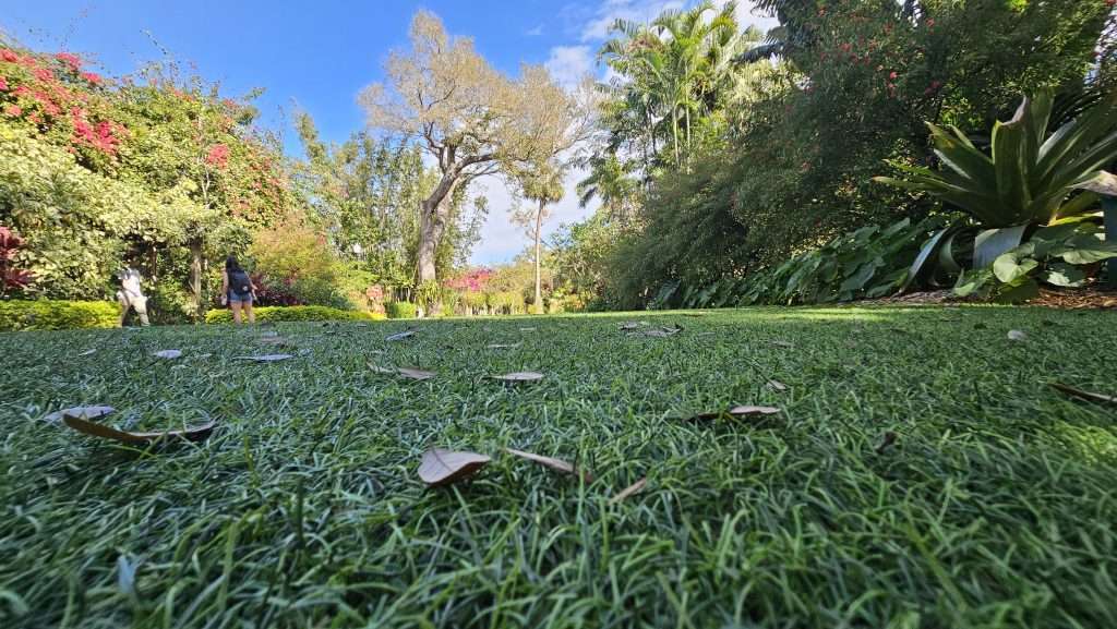 sunken gardens main lawn